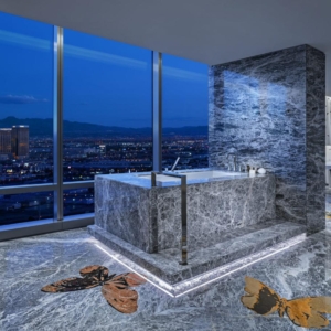 Palms Sky Villa Empathy Suite